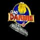 Ciao Darwin 6 La Regressione