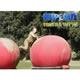 Seratissima Wipeout Pronti A Tutto!