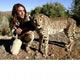 Tropic Of Capricorn