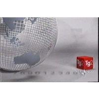 Tg2 Giorno